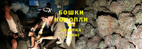 мдпв Волоколамск